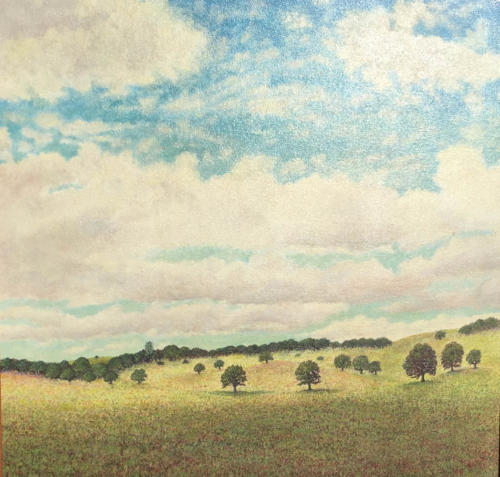 24-X-24-oil-Sierra-Foothills-near-Planada-CA-1994