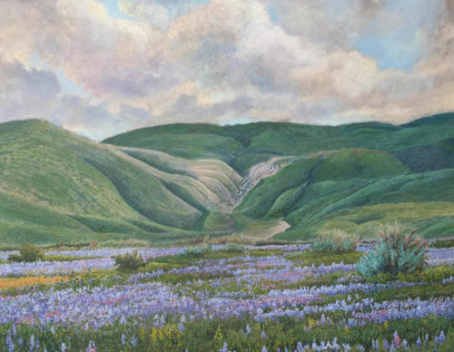 24-X-30-oil-Kern-County-Foothills-Lupine-and-owls-clover-1979