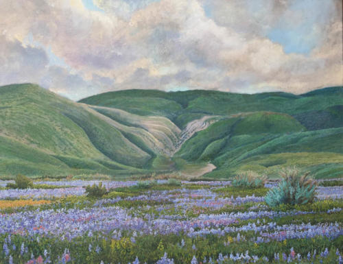 Keen-County-April-Field-of-Lupine