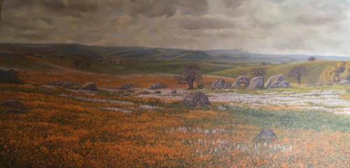 Kern-County-foothills-near-Glenview-24-X-48-oil-1980-1981