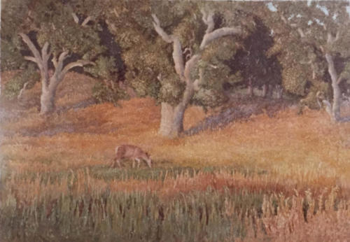 Late-afternoon-Deer-And-White-Oaks-near-Havilah-Kern-County-1978-oil-16-X-24