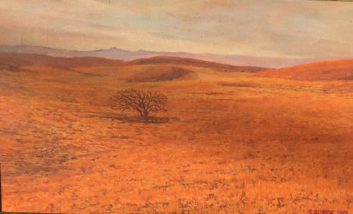 Late-day-sun-pasture-Kern-County-1980-12-X-16-oil