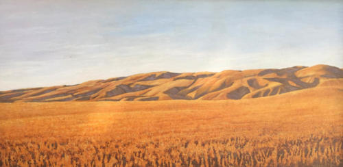 Lost-Hills-in-morning-light-Kern-County-1979.-Oil-15-X-30