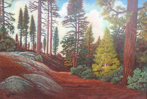 Near-Oakhurst-CA-Sierra-National-Forest-fire-road-16-X-24-oil-1986