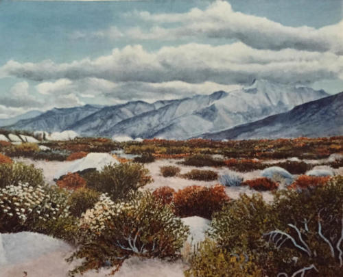 Sierra-crest-view-from-Horseshoe-Meadow-road-Inyo-County-1980-16-X-20-oil